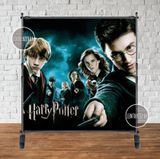 Баннер "Гарри Поттер (все герои)" 2х2м - Фотозона (виниловый) на день рождения - ТС_Бнр_2х2_Гари(герои_б/н фото